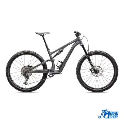 SPECIALIZED Stumpjumper 15 Comp Alloy Gloss Smoke/Cool Grey